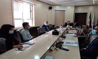 نشست تخصصی با مدیران سه شرکت دانش بنیان استان برگزار شد.